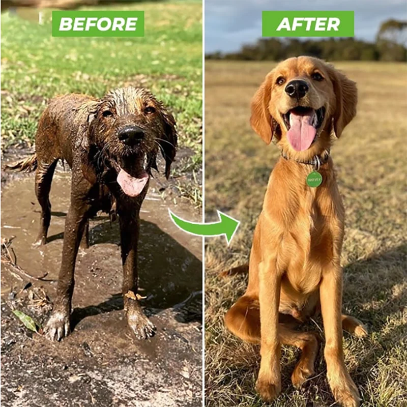 Bico pulverizador de alta pressão, pistola de chuveiro para cães, 3 modos ajustáveis, lavagem de animais de estimação, banho, espuma de água, pulverizador de sabão, ferramenta de limpeza para cães